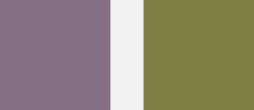 Colours: Cosy Violet and Pure Olive Colours: Cosy Violet and Pure Olive