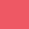 Sweet Coral Sweet Coral